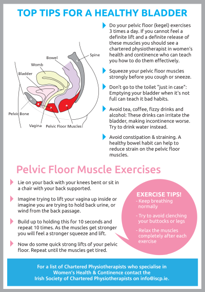 healthy bladder 2